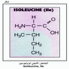    Isoleucine, Ile