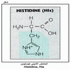    Histidine, His