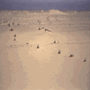 حقل من الألغام الأرضية في الصحراء